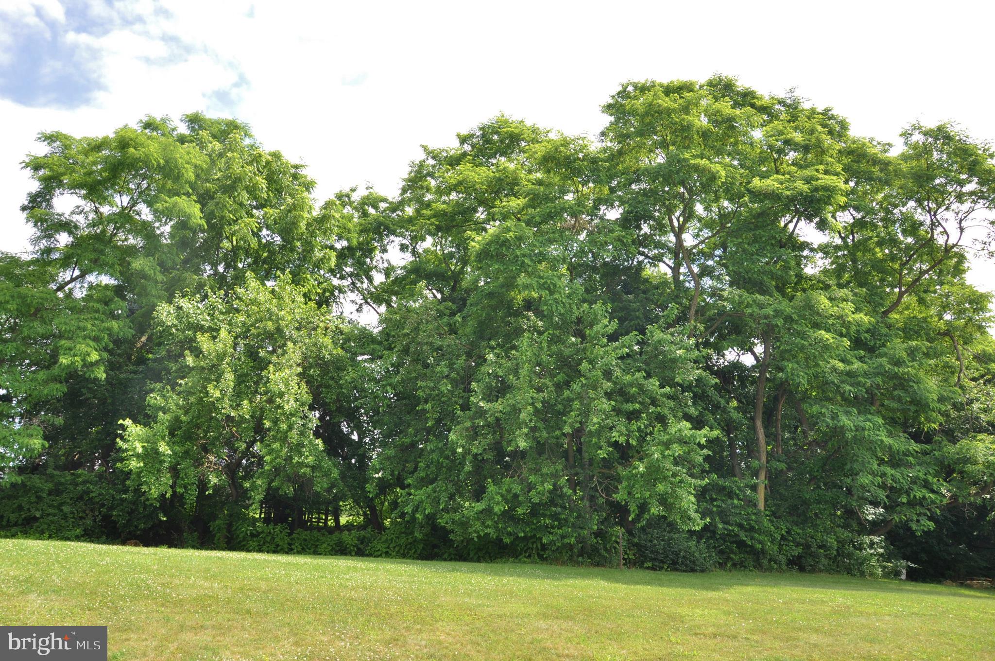 GREENFIELD - Residential