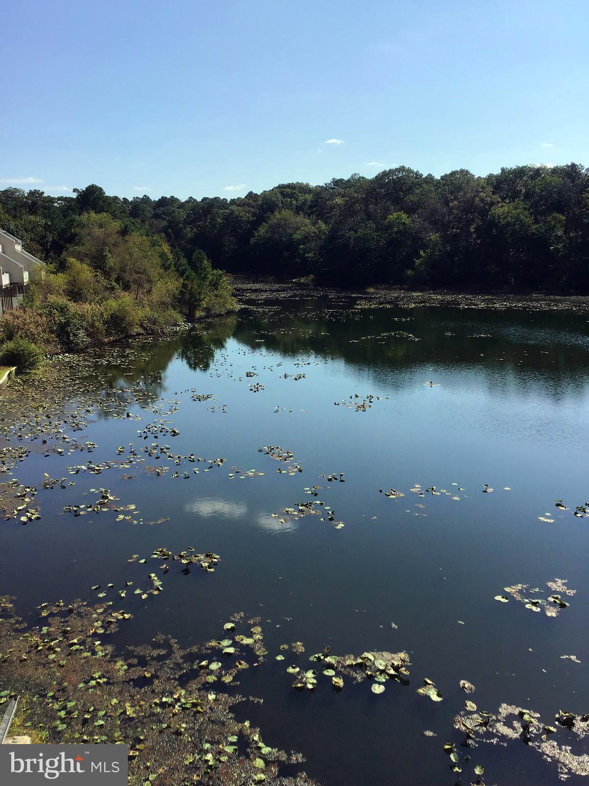 CANAL WOODS CM - Residential