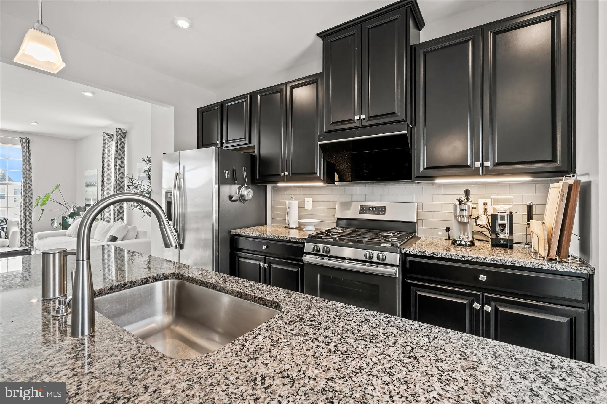 CHESTNUT HILL PRESERVES - Residential