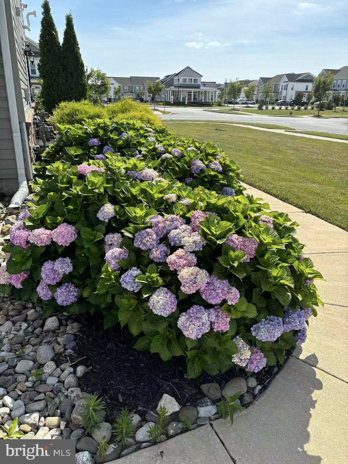 CHESTNUT HILL PRESERVES - Residential