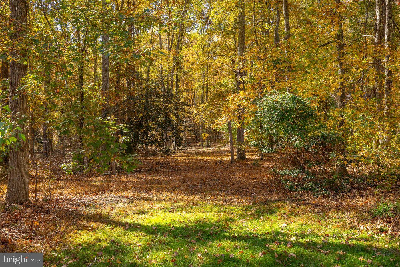 GOLDEN OAKS - Residential