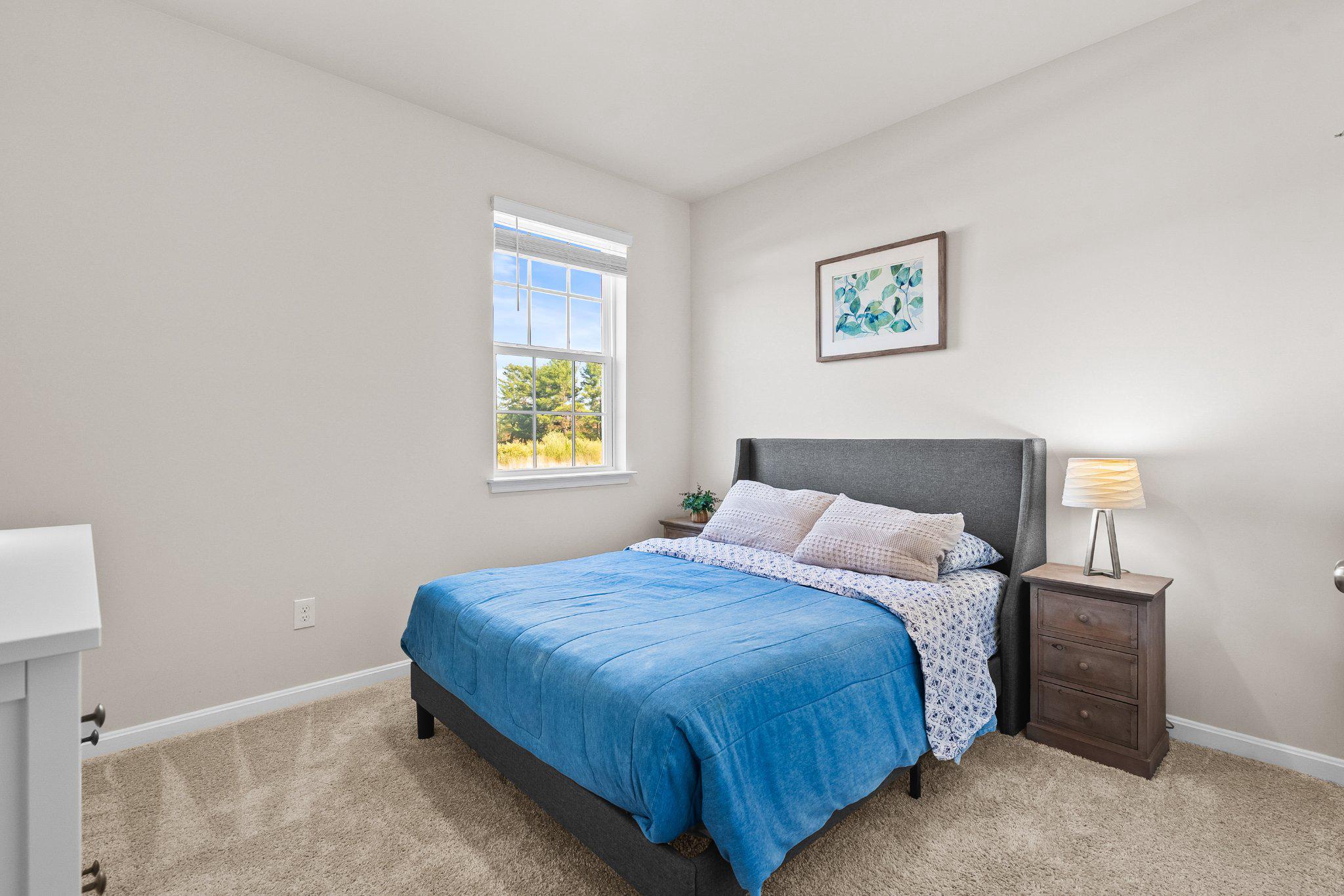 SHENANDOAH CROSSING - Residential