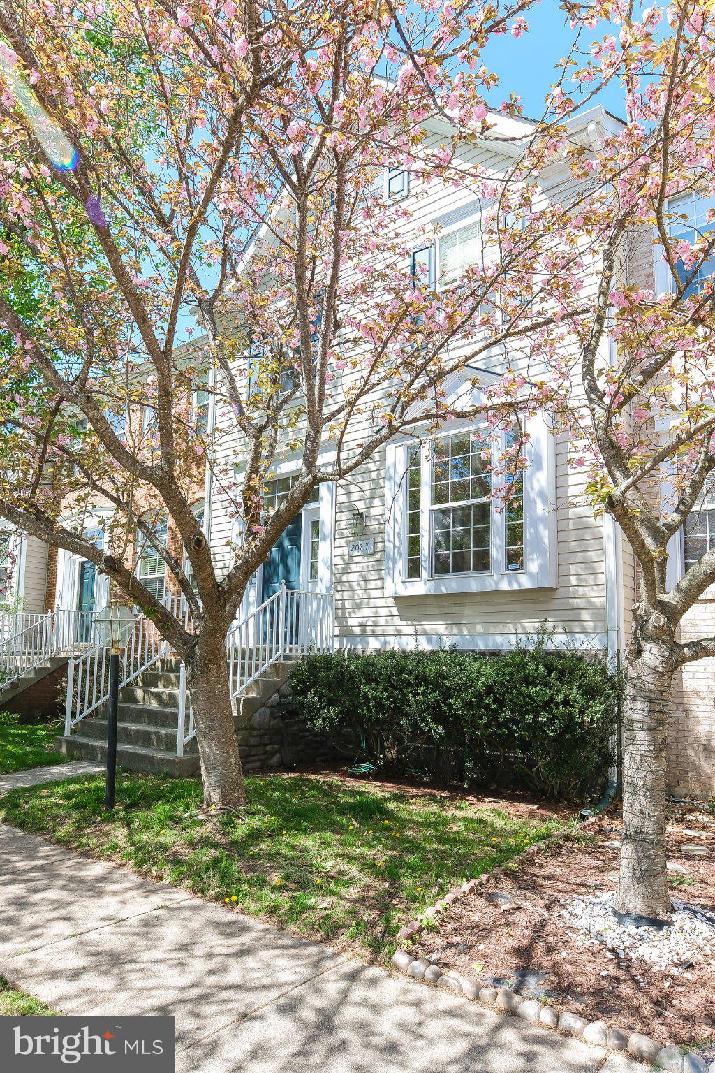 20717 WATERFALL BRANCH TERRACE