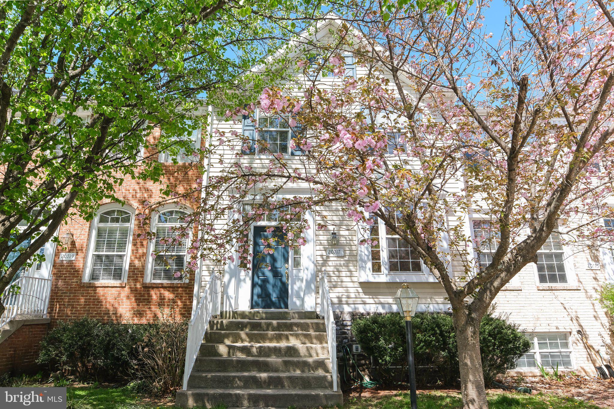 20717 WATERFALL BRANCH TERRACE