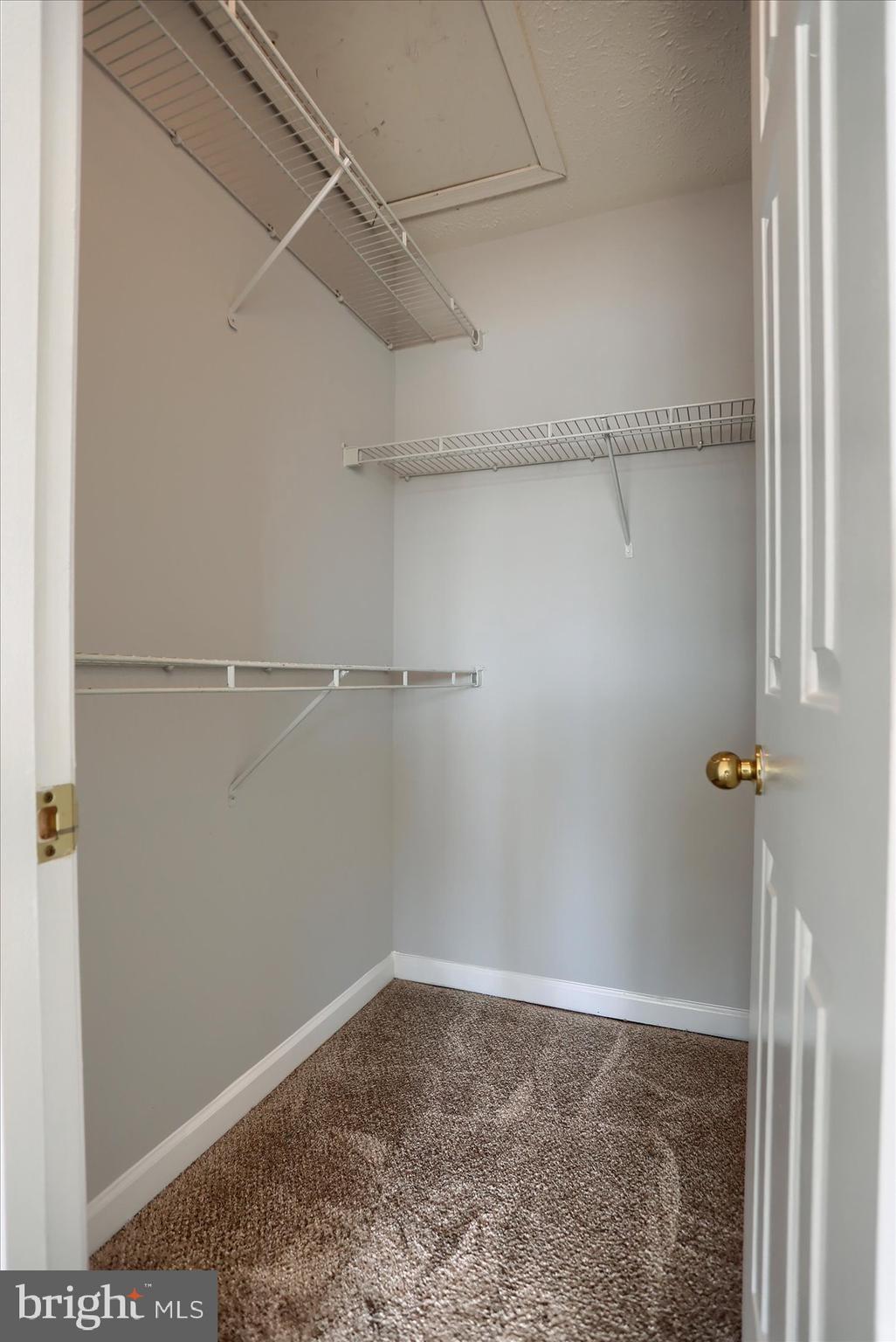 HOLLY WOODS - Residential