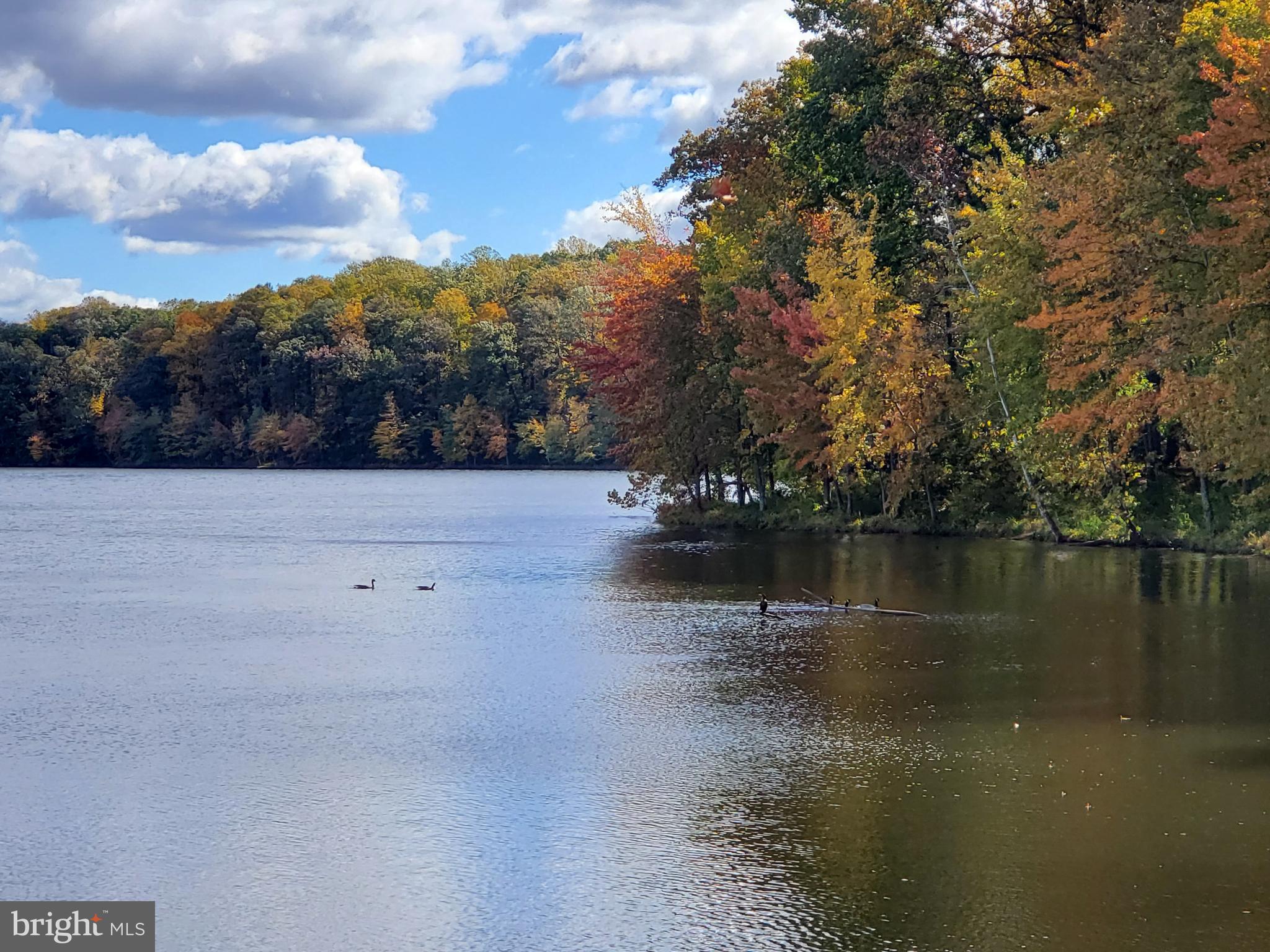 PHEASANT RUN - Residential