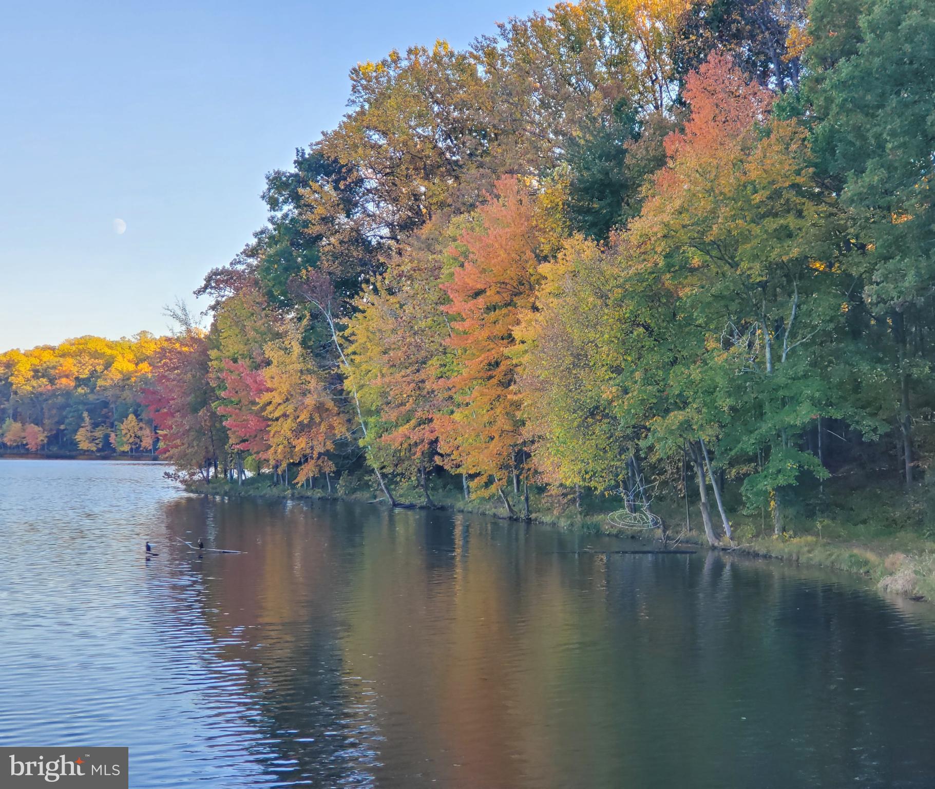 PHEASANT RUN - Residential