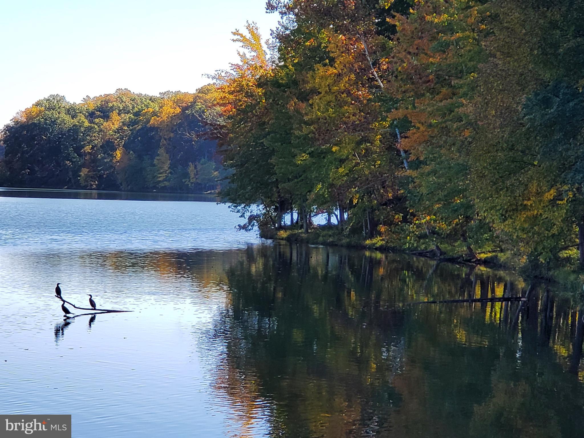 PHEASANT RUN - Residential