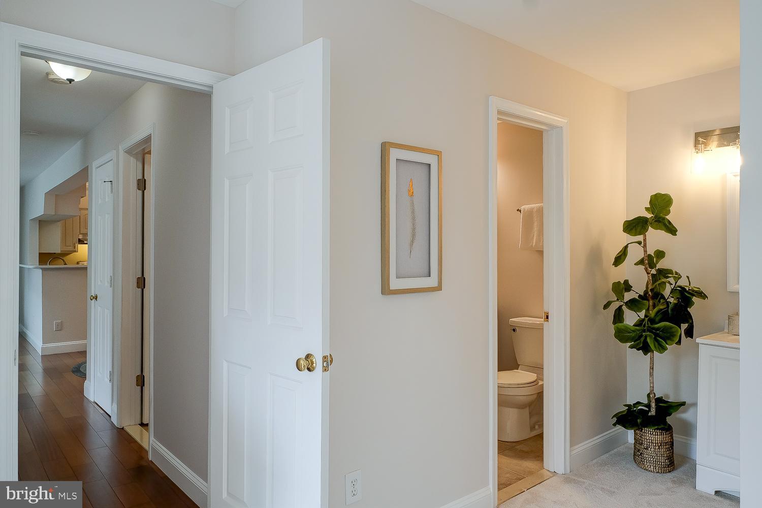 BRISTOL HOUSE - Residential