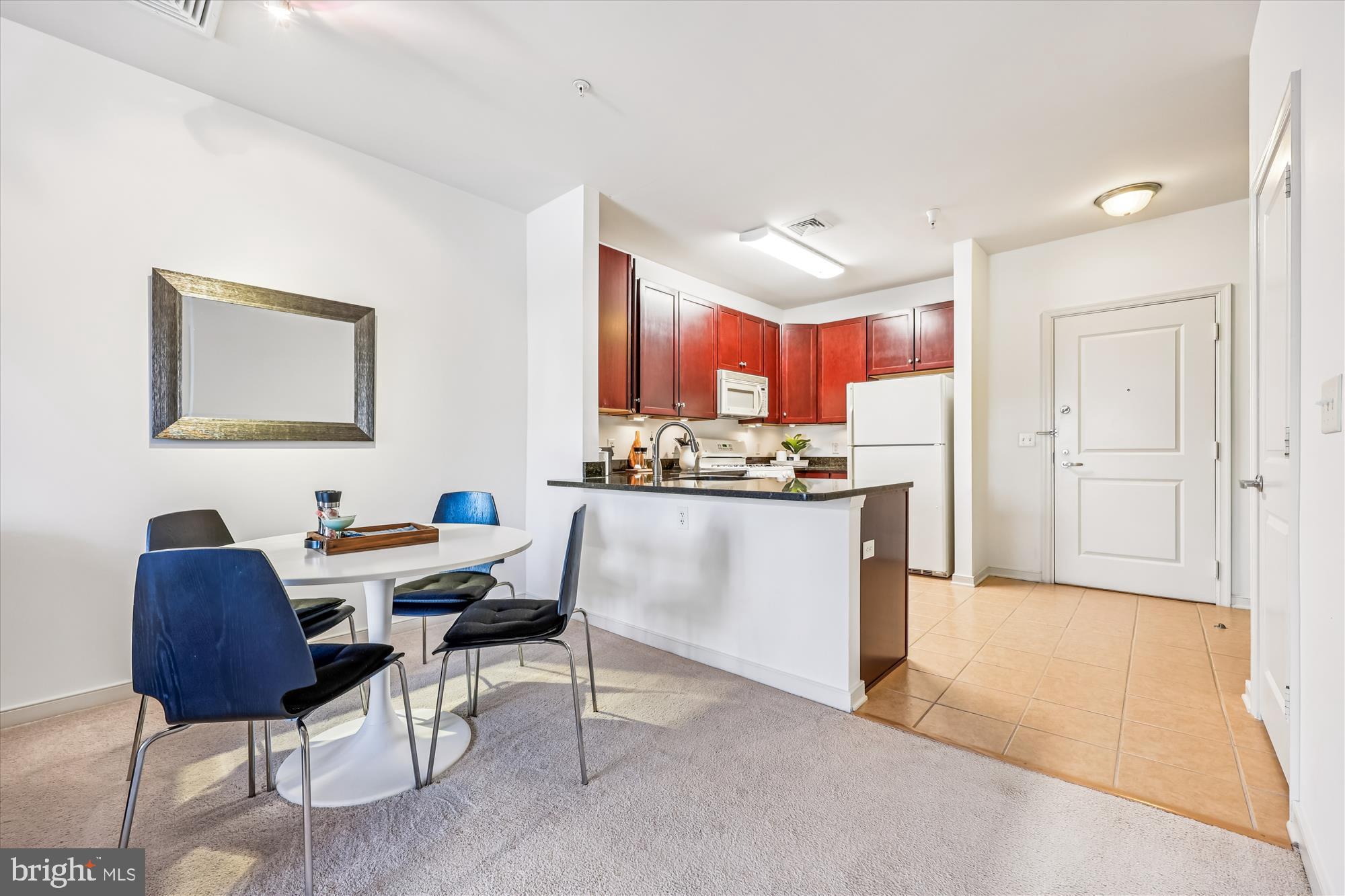 8045 AT SILVER SPRING METRO - Residential