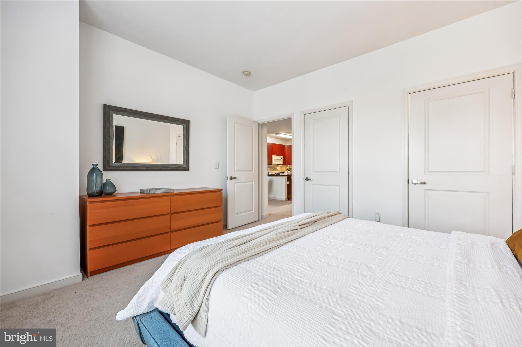 8045 AT SILVER SPRING METRO - Residential