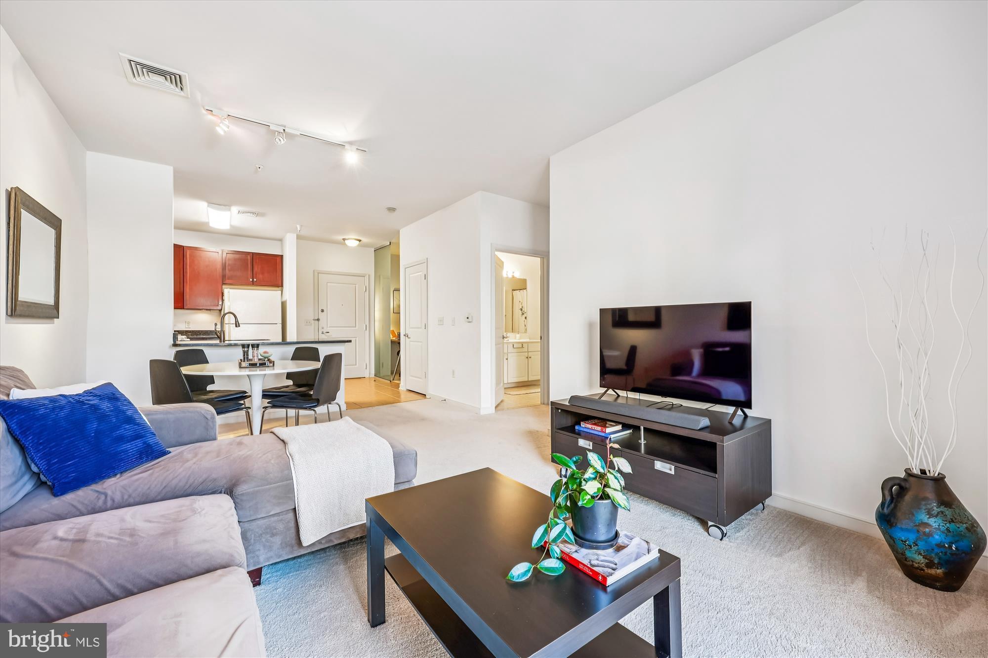 8045 AT SILVER SPRING METRO - Residential