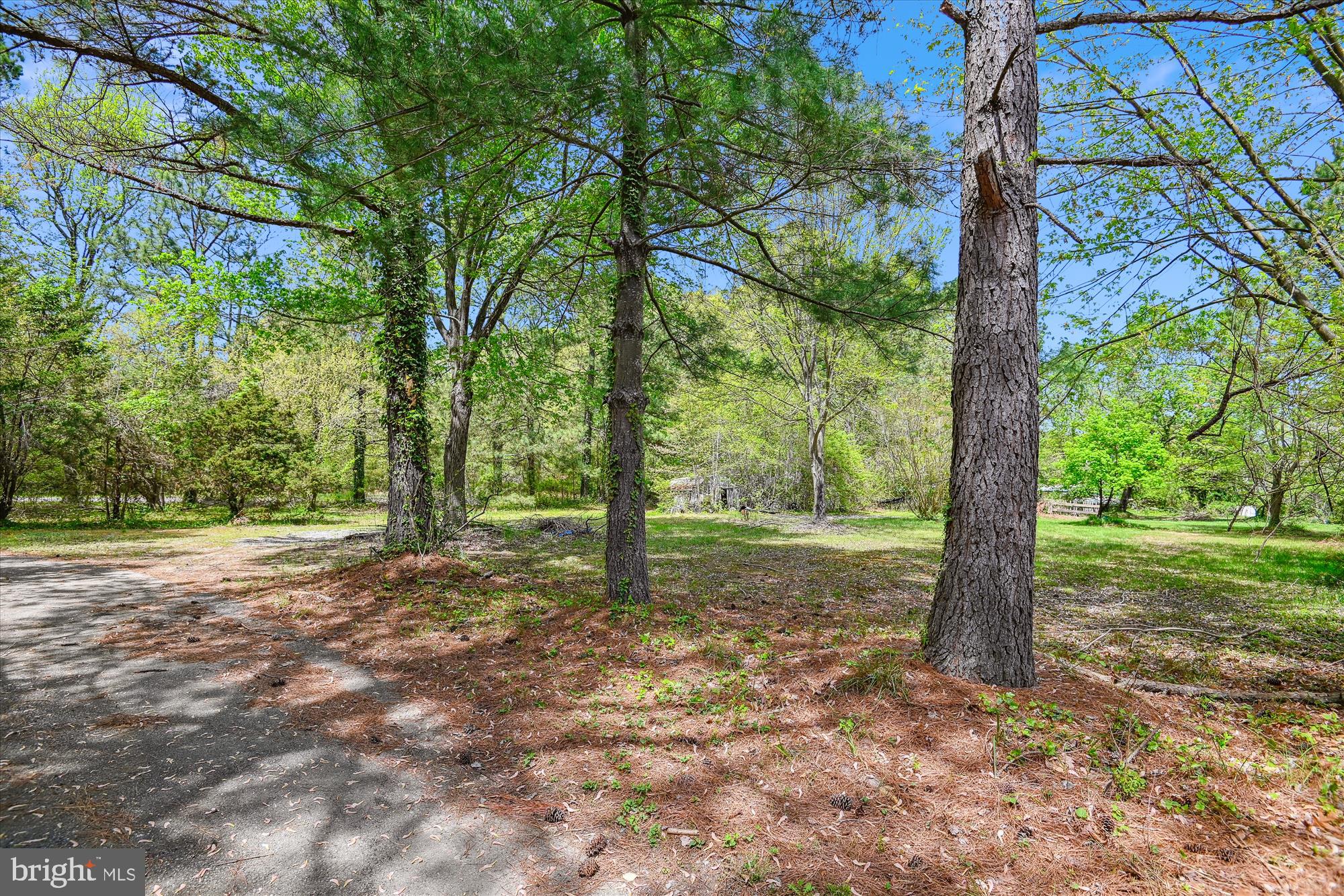 CHERRY POINT - Residential