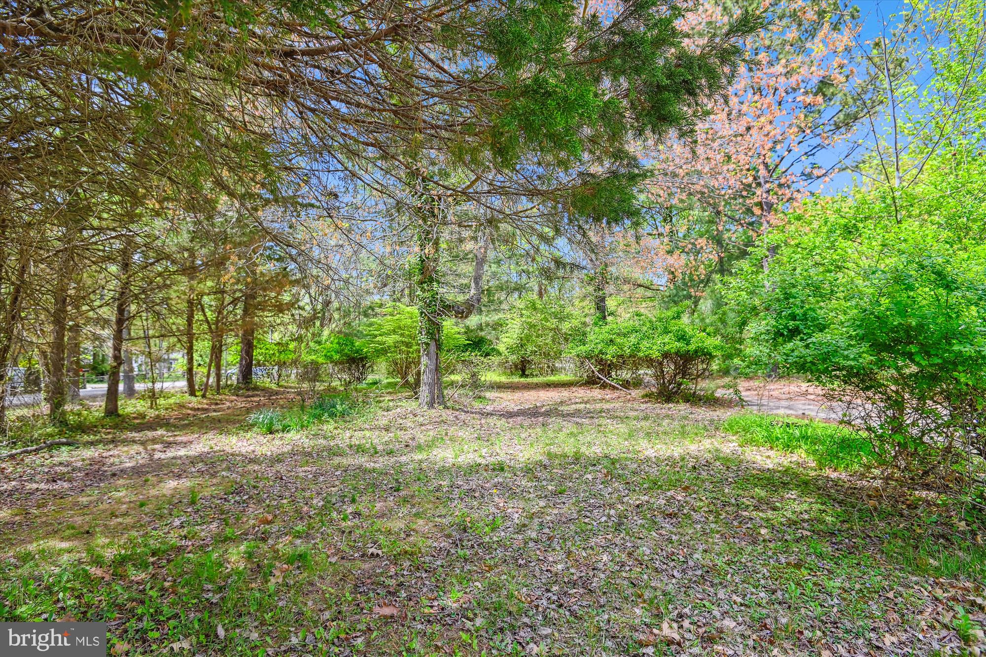 CHERRY POINT - Residential