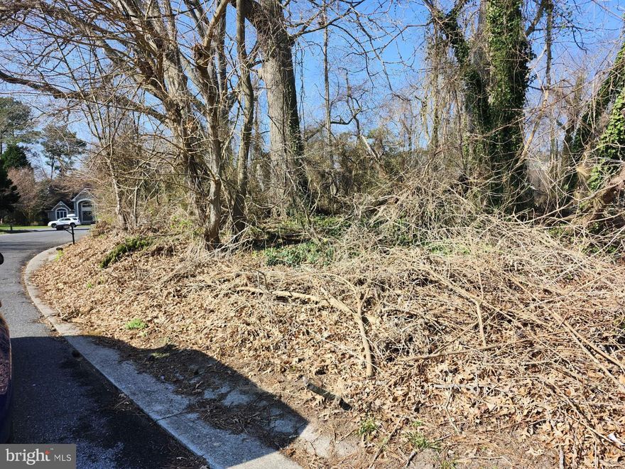 Wooded lot ready for your new home! This .28 acre lot in Granbys Cove could be the perfect location for you! No HOA!! City connection fee runs around $4200. Buyer would have to contact a general contractor to get an estimate on the ground work.