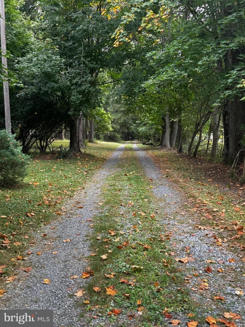 Featured picture for the property PADA2049818