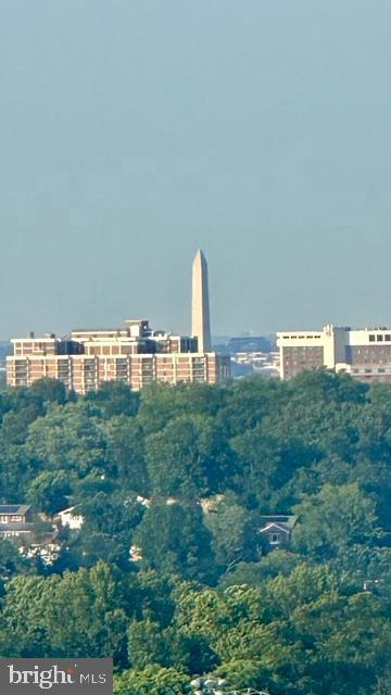 3701 S GEORGE MASON DRIVE 1315N