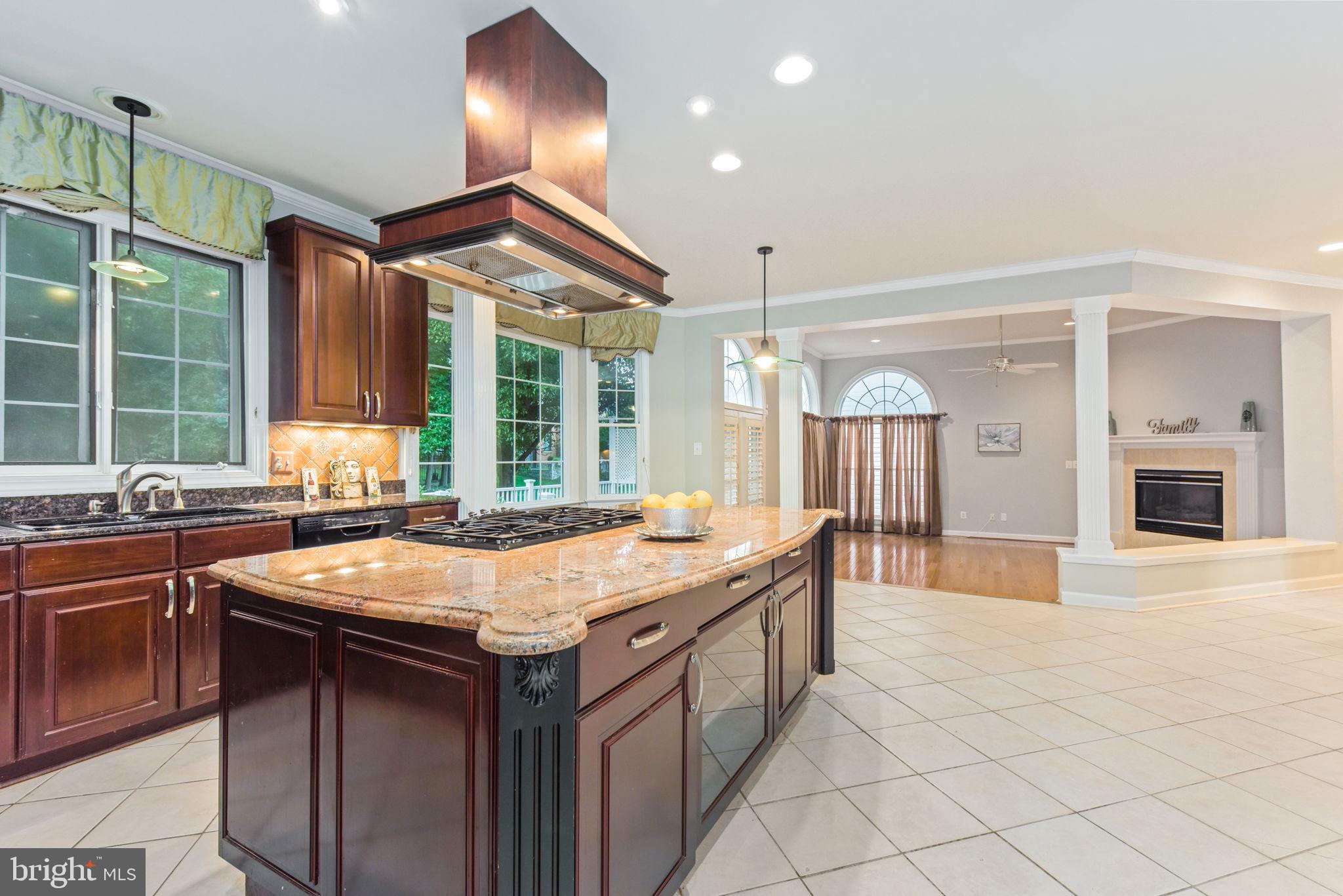 TYSONS EXECUTIVE VILLAGE - Residential