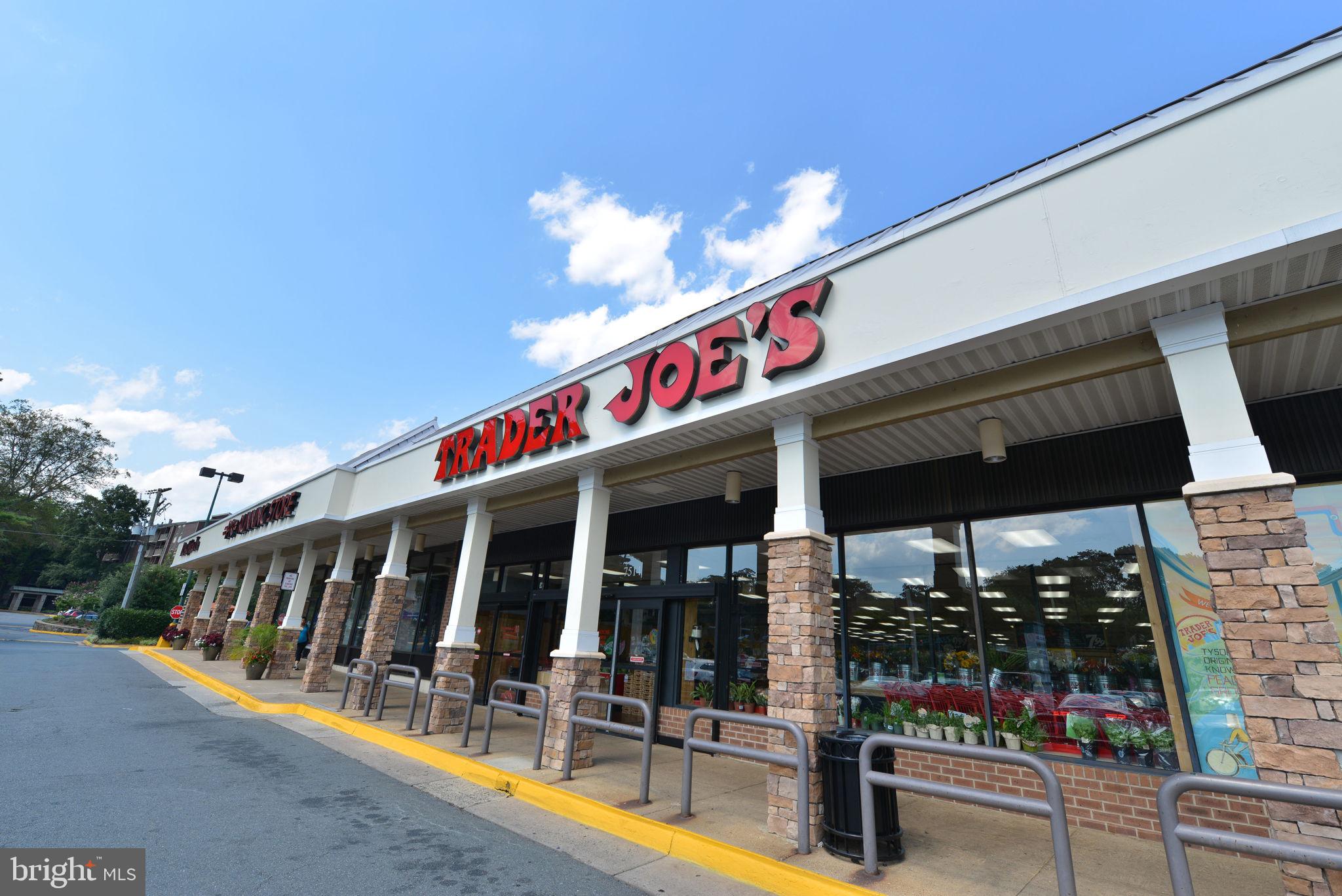 TYSONS EXECUTIVE VILLAGE - Residential