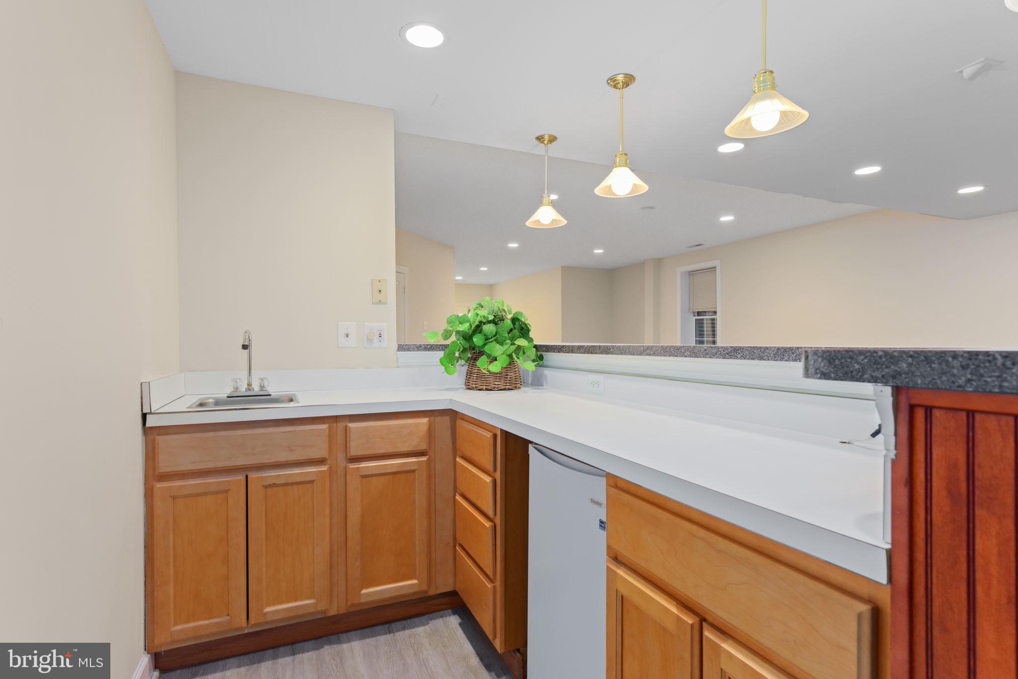 TYSONS EXECUTIVE VILLAGE - Residential