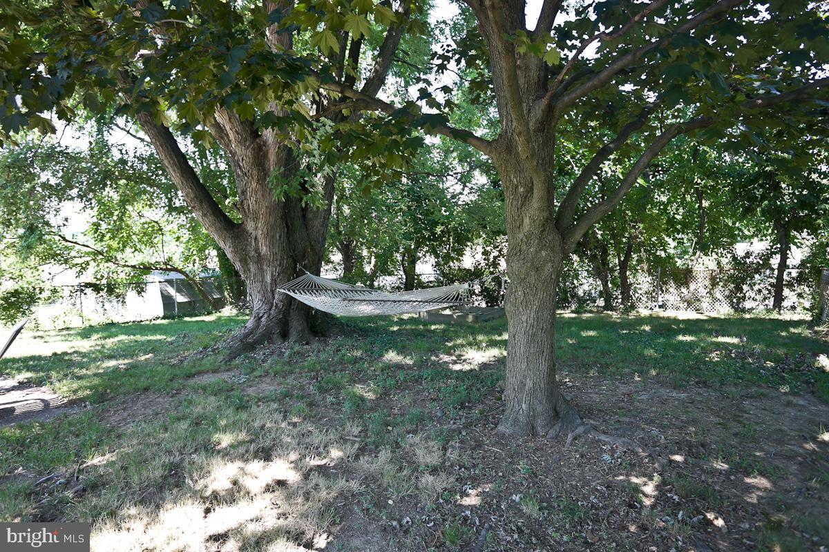 HAMILTON HEIGHTS - Residential