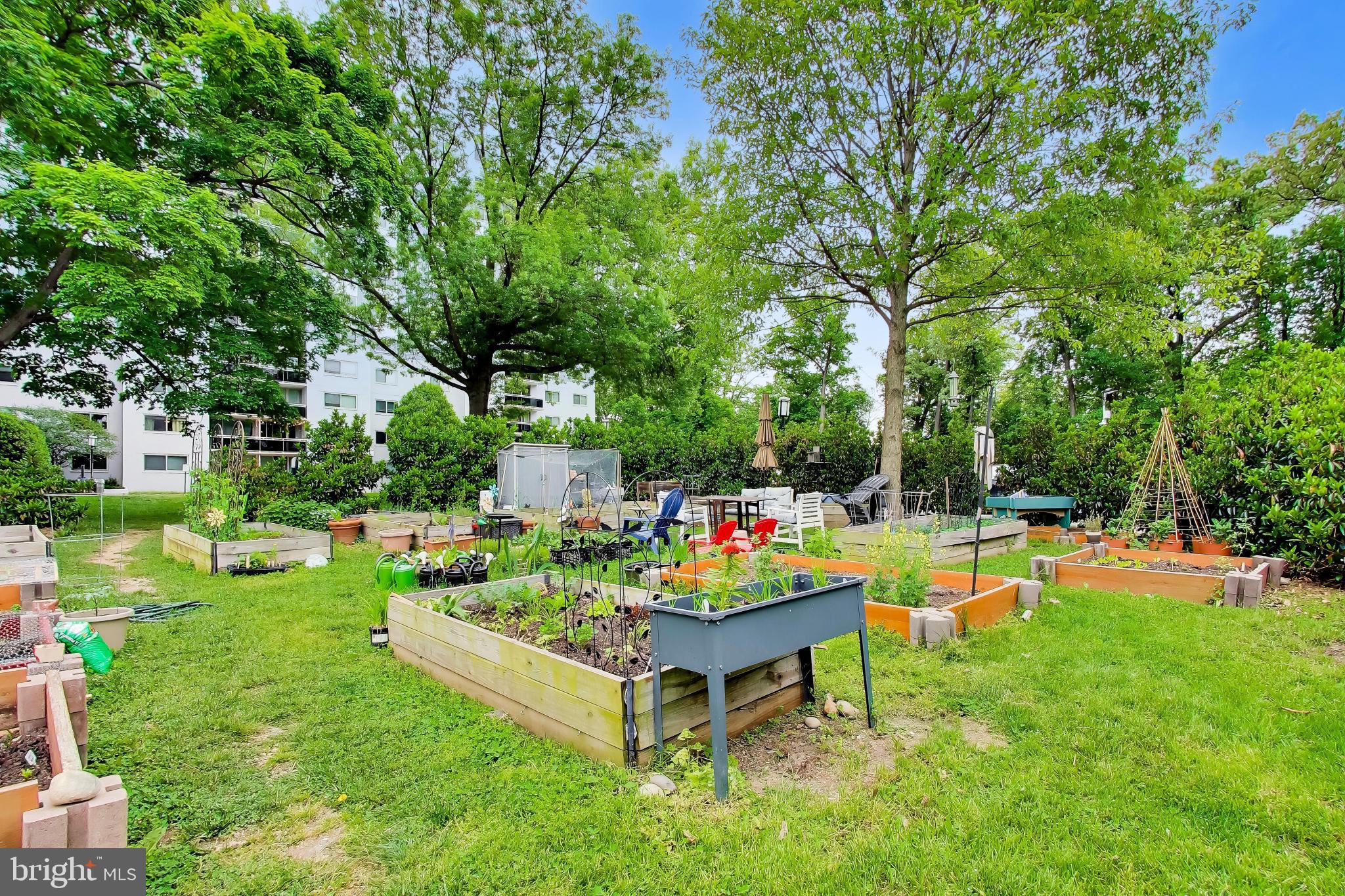 TAKOMA PARK - Residential