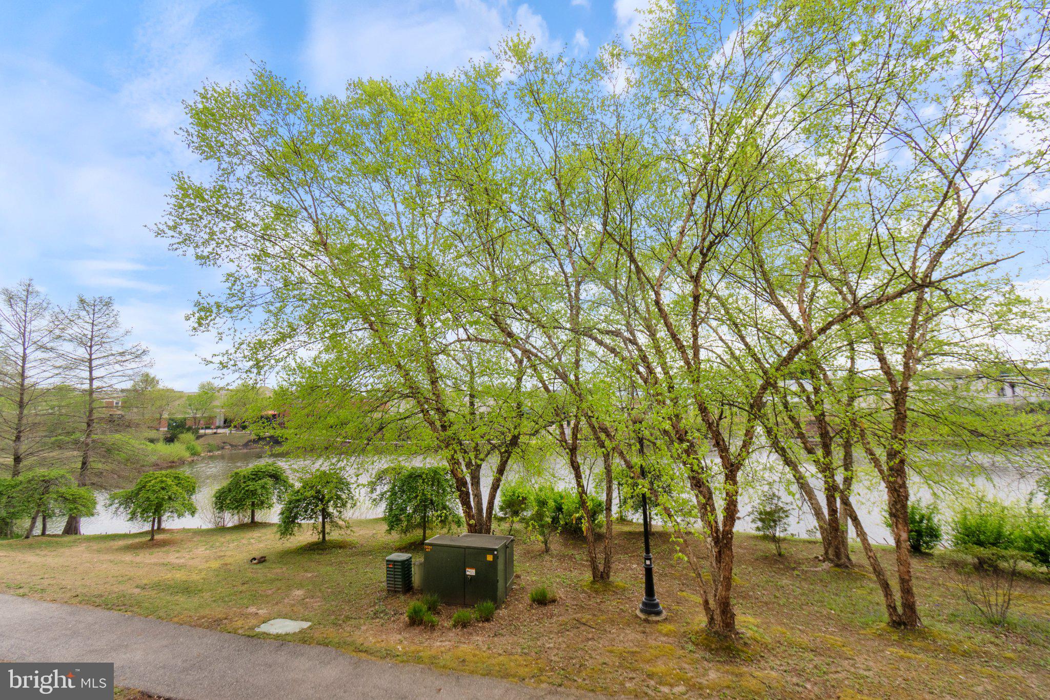 VILLAGE AT WAUGH CHAPEL - Residential