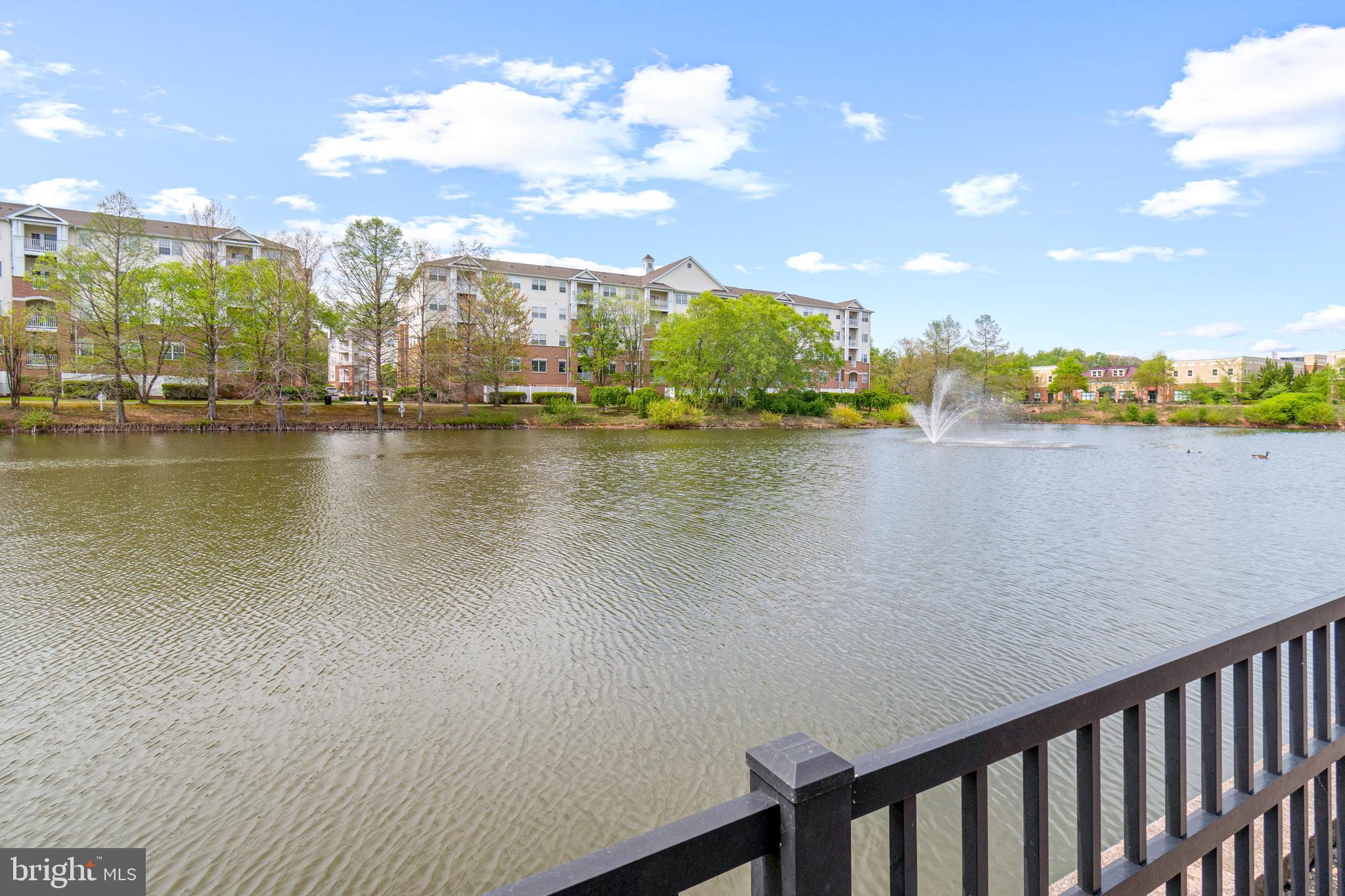 VILLAGE AT WAUGH CHAPEL - Residential