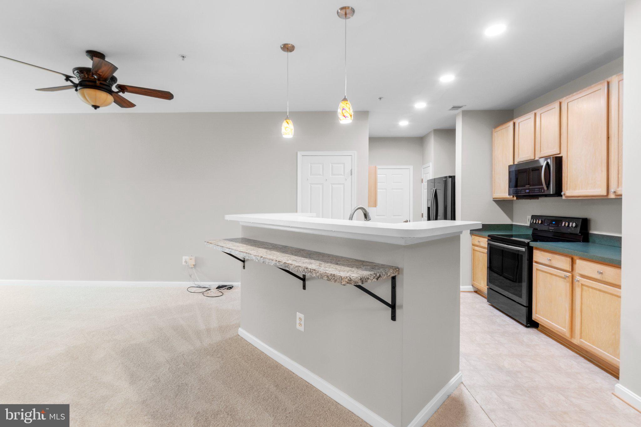 VILLAGE AT WAUGH CHAPEL - Residential