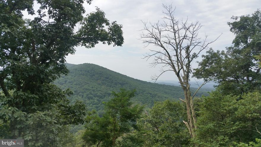 Nice south western views from this private setting, A great location for the mountain top get-a-way, if your plans are camping or build a cabin this one deserves your attention. Cacapon River access within 1/2 mile.