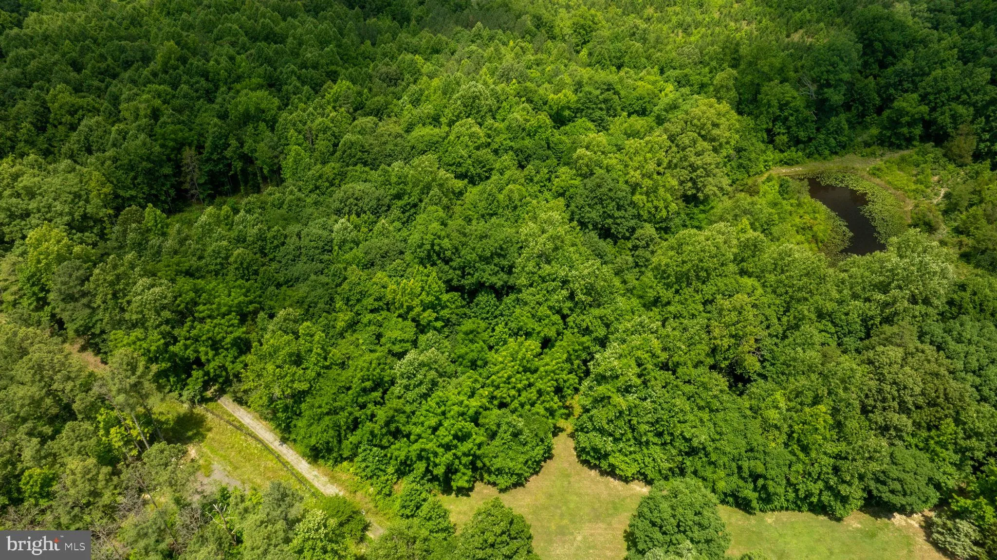 Champlain, Virginia 22438, United States, ,Land,Active,22453