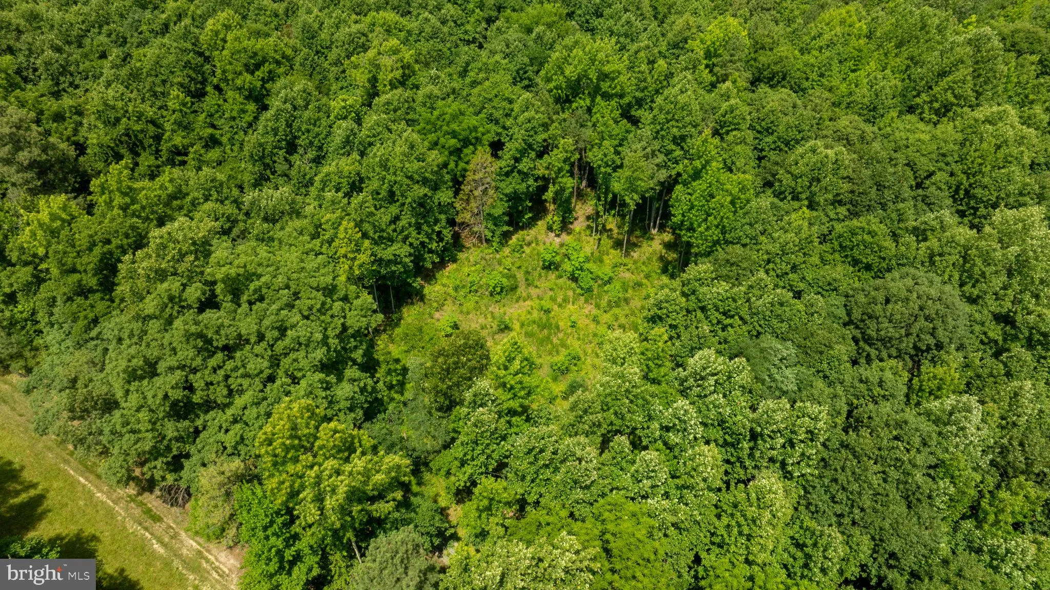 Champlain, Virginia 22438, United States, ,Land,Active,22453