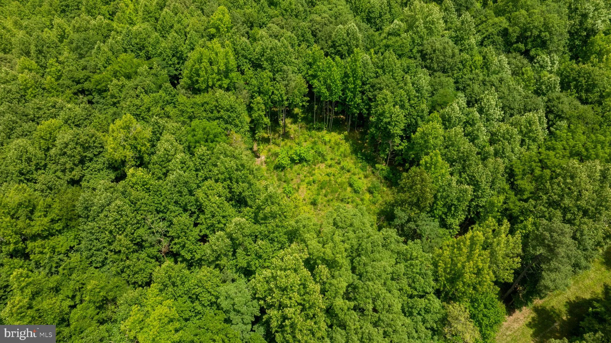 Champlain, Virginia 22438, United States, ,Land,Active,22453