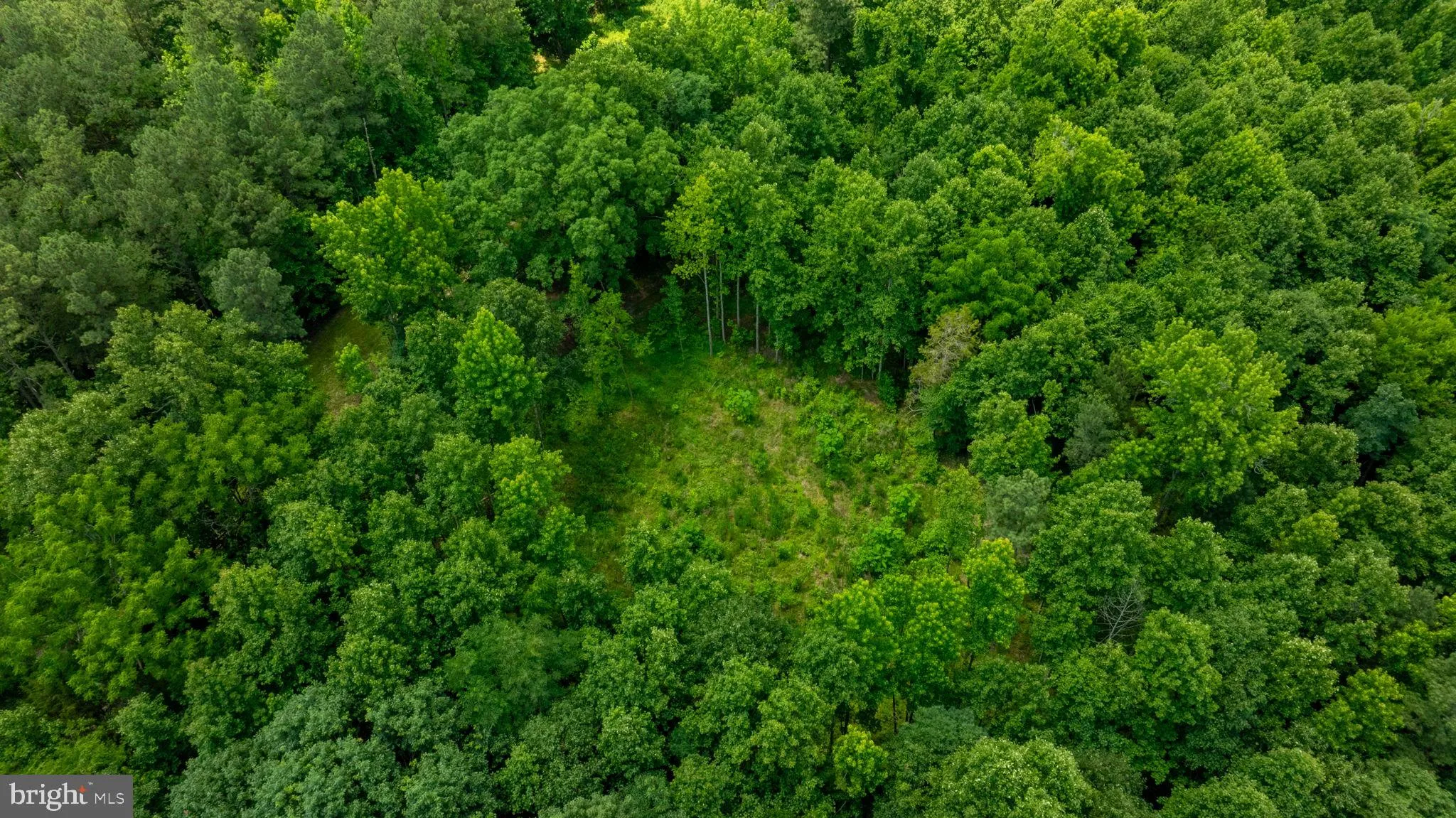 Champlain, Virginia 22438, United States, ,Land,Active,22453