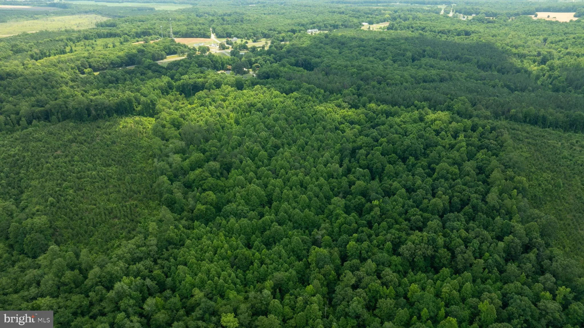 Champlain, Virginia 22438, United States, ,Land,Active,22453