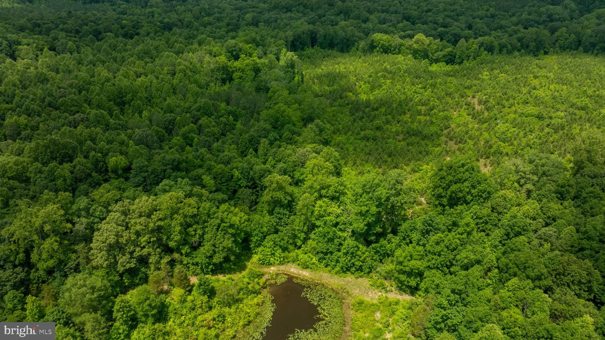 Champlain, Virginia 22438, United States, ,Land,Active,22453