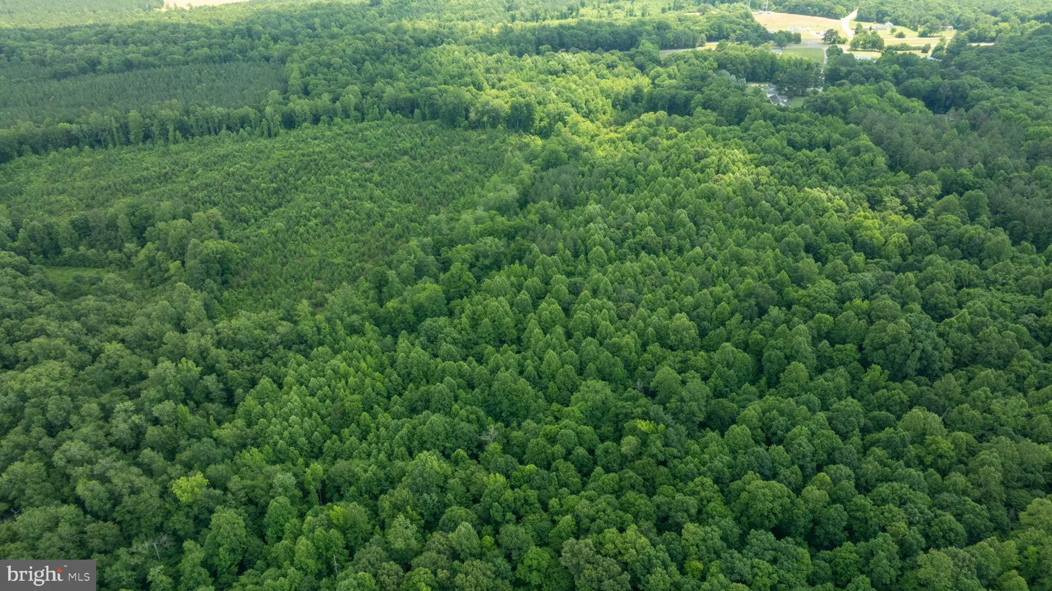 Champlain, Virginia 22438, United States, ,Land,Active,22453