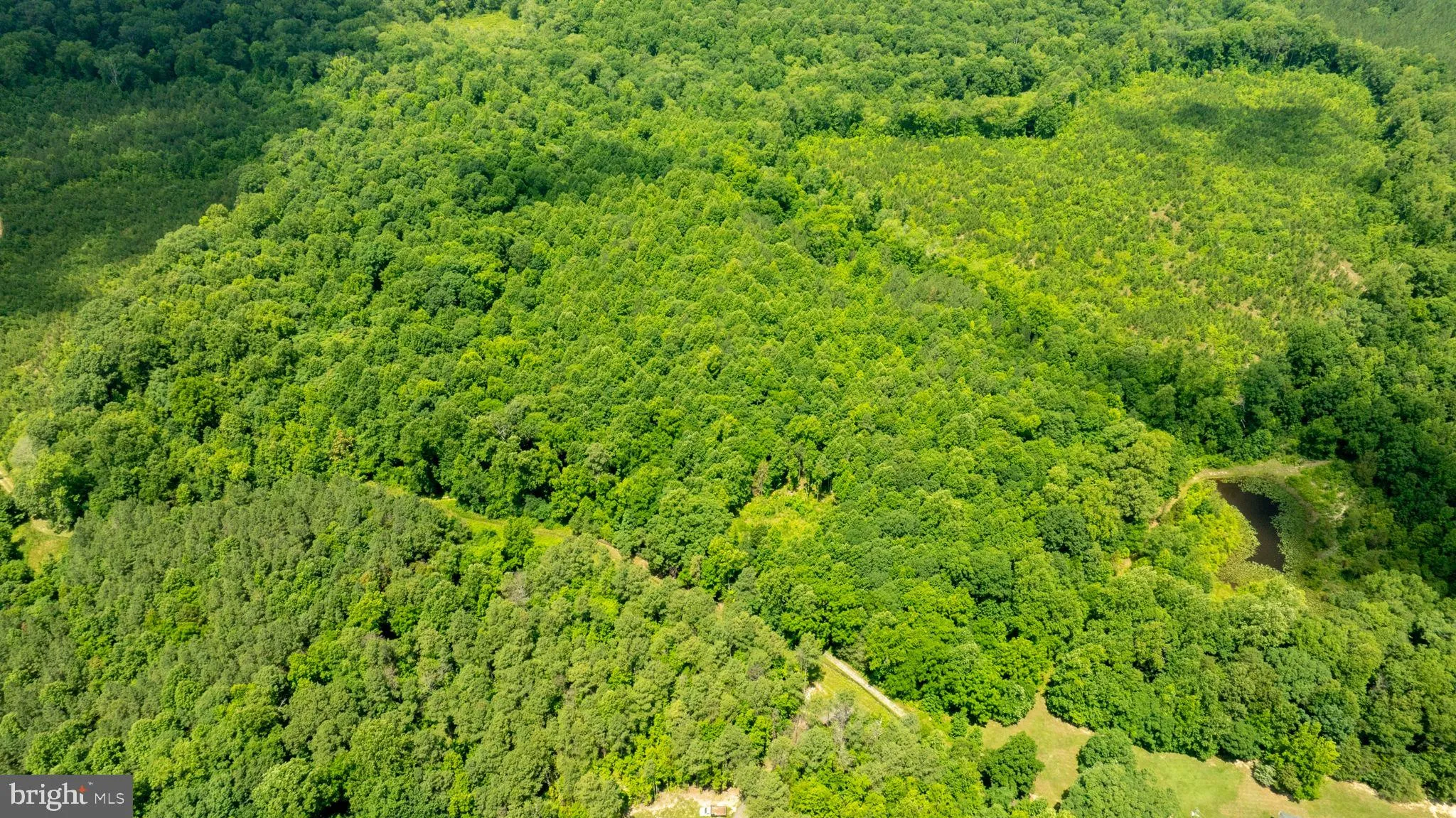 Champlain, Virginia 22438, United States, ,Land,Active,22453