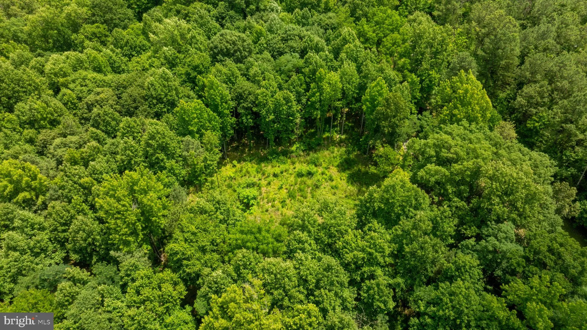 Champlain, Virginia 22438, United States, ,Land,Active,22453