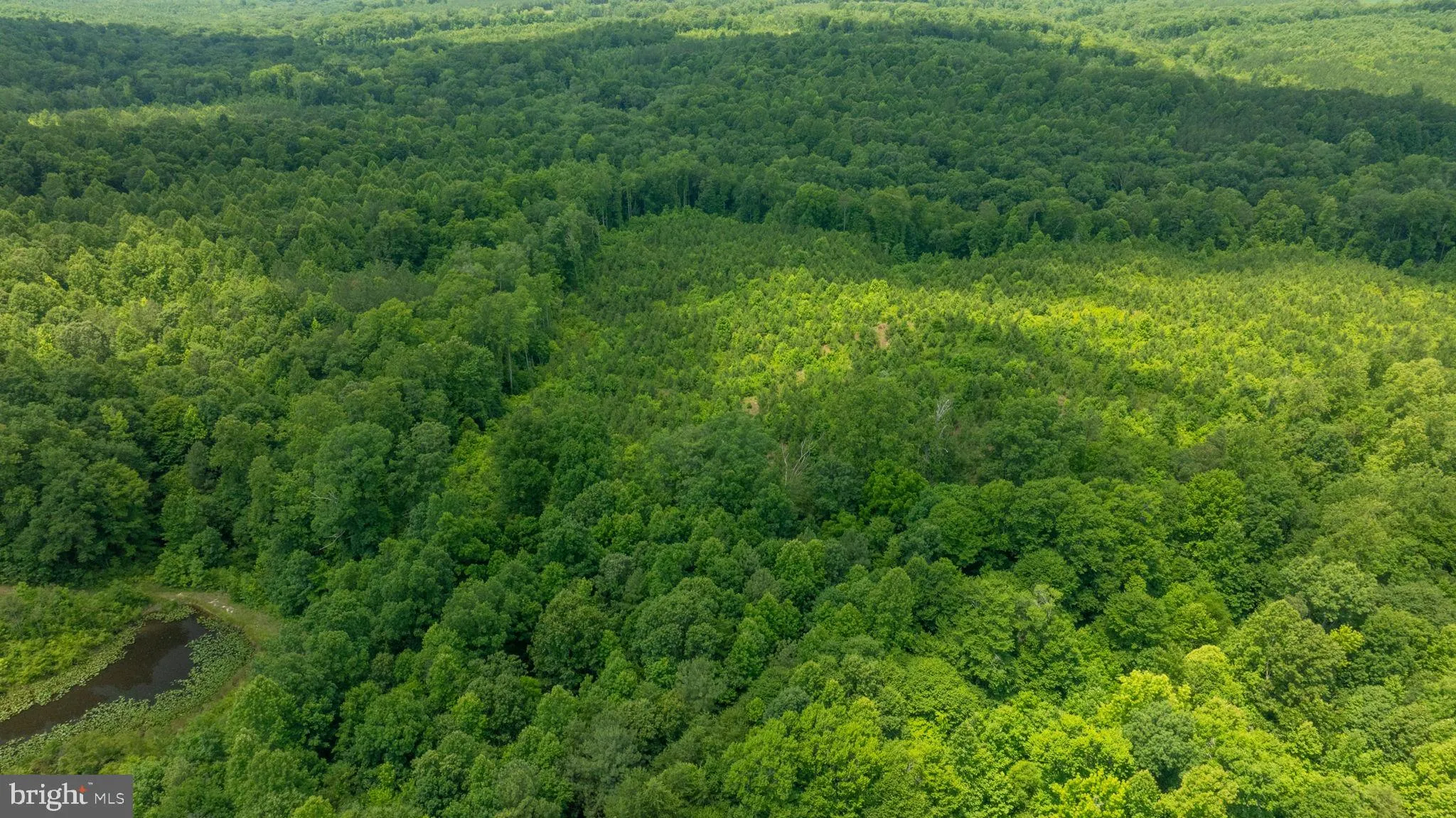 Champlain, Virginia 22438, United States, ,Land,Active,22453