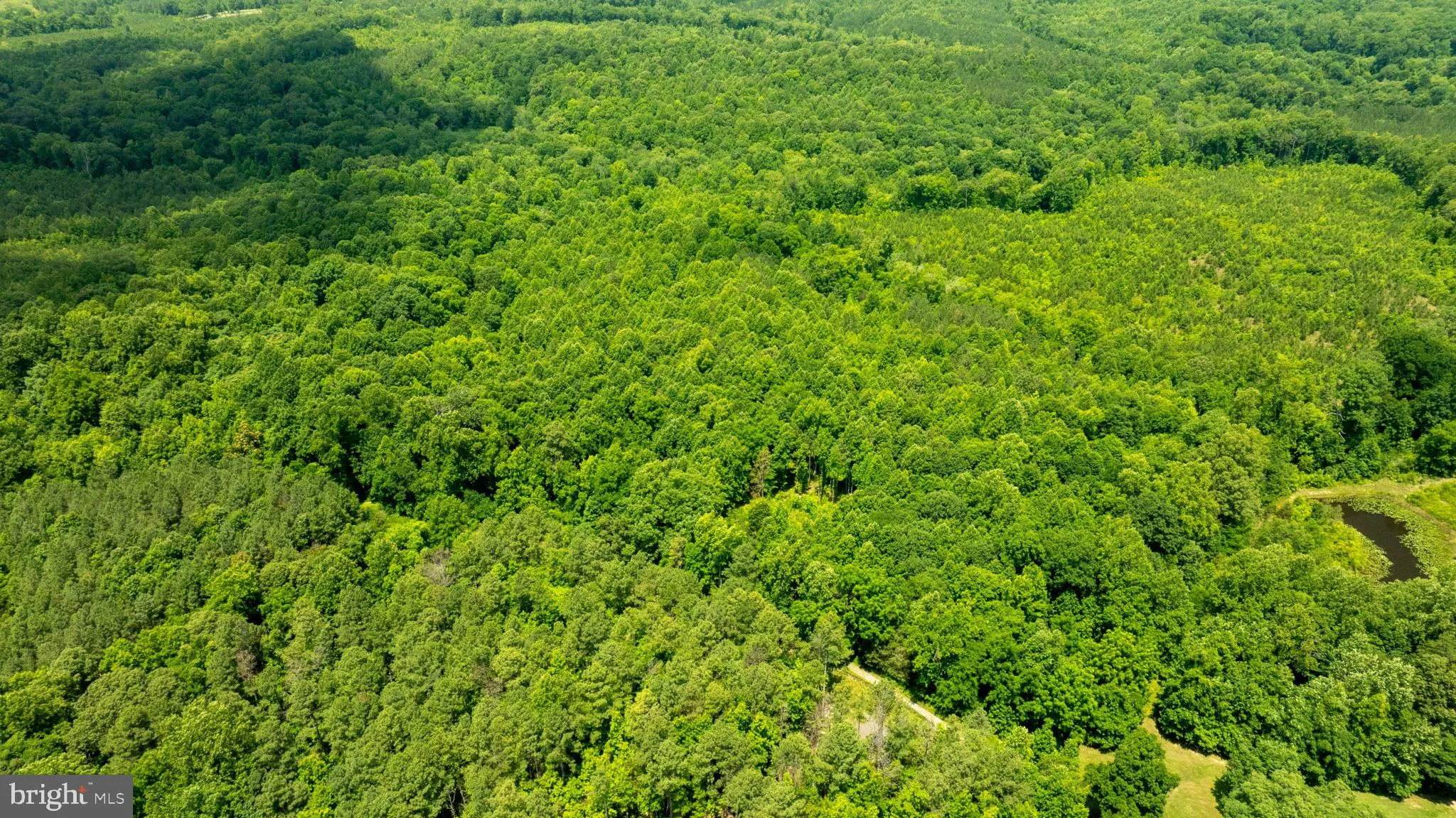 Champlain, Virginia 22438, United States, ,Land,Active,22453