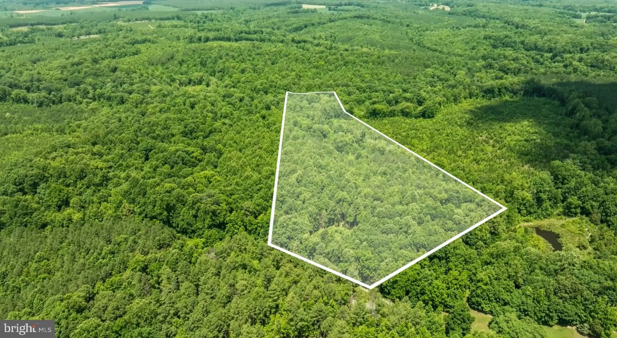 Champlain, Virginia 22438, United States, ,Land,Active,22453