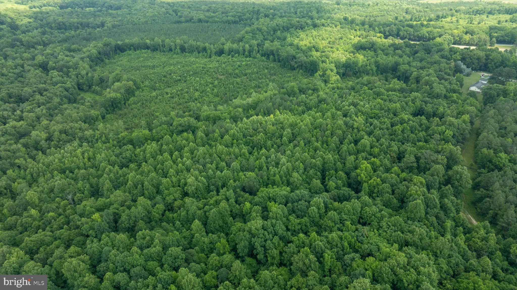 Champlain, Virginia 22438, United States, ,Land,Active,22453