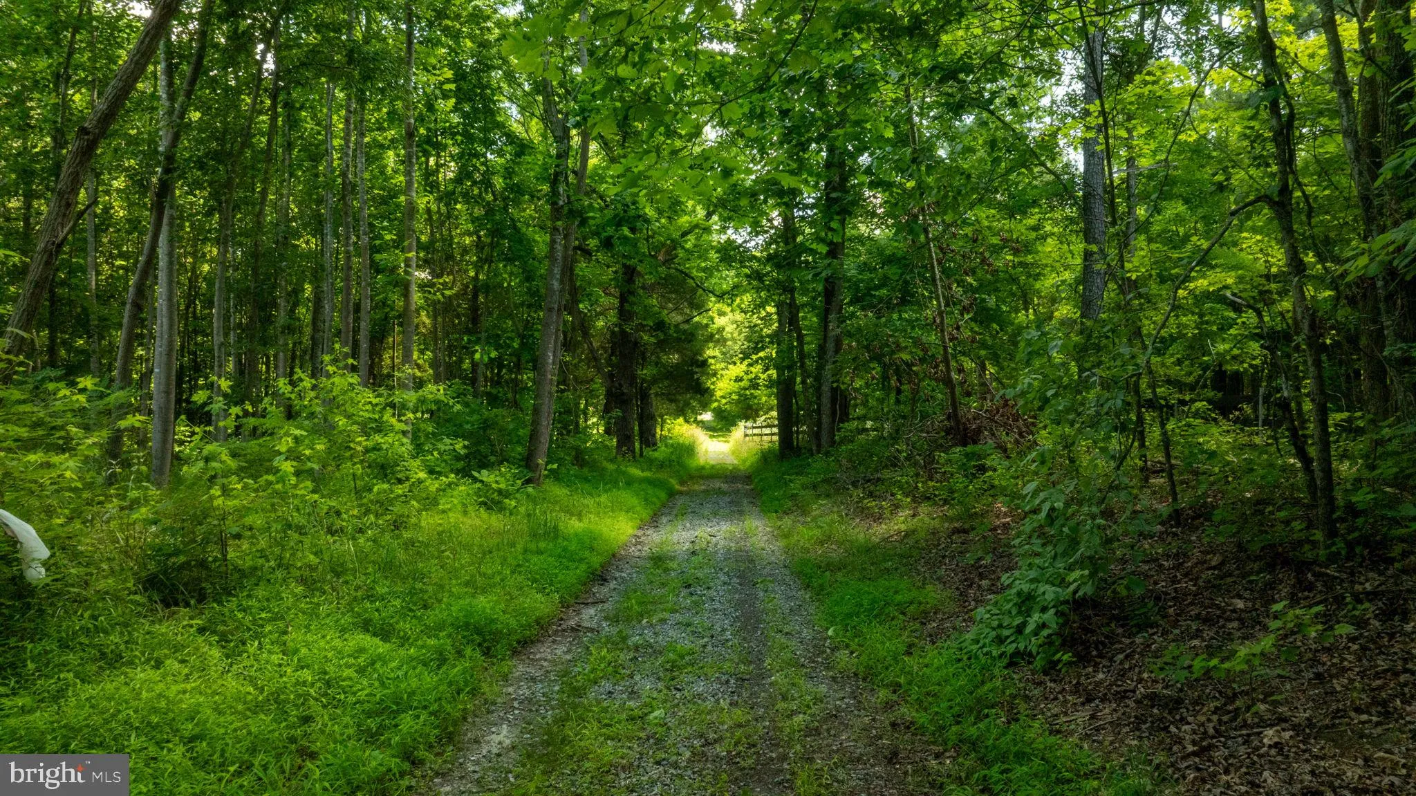 Champlain, Virginia 22438, United States, ,Land,Active,22453
