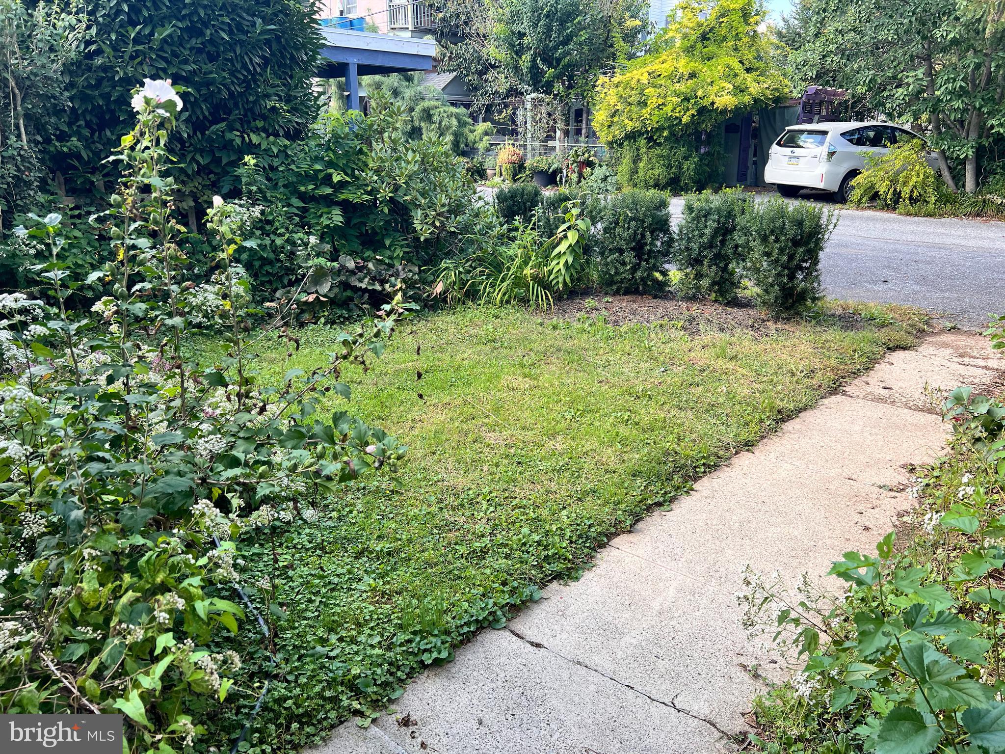 CHESTNUT HILL - Residential Lease