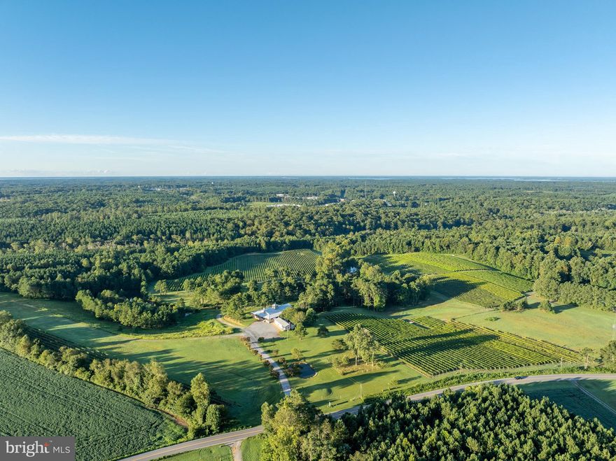 Good Luck Cellars, in Kilmarnock, Virginia is one of the premier wineries and event venues on the Northern Neck of Virginia and the entire Chesapeake Bay Wine Region. The vineyard is set upon a vast pastoral landscape which is bordered by Norris Prong and features several water features and ponds. Good Luck Cellars is a gathering place which draws from the communities of Kilmarnock, Irvington, White Stone, Tappahannock, Wicomico Church, Reedville, Urbanna, Gloucester, Mathews, Williamsburg and beyond. It is not uncommon to find patrons from Virginia Beach, Richmond, Northern Virginia and beyond. As a gathering place for friends, family, weddings, celebrations and for relaxing afternoons on the veranda, "Good Luck" has established itself as one of the premier wineries and event venues in Eastern Virginia. There is always something going on at Good Luck Cellars. The vineyard encompasses 25 acres of well cultivated vines, including: Petit Verdot - 4ac, Voignier - 2ac, Chardonel - 4ac, Cabernet Sauvignon - 3ac, Vidal Blanc - 1ac, Vignoles - 2ac, Traminetts - 1ac, Cabernet Franc - 1ac, Chambourcin - 1ac, Seyval Blanc - 1ac, Norton - 4ac, Chardonnay - 1ac. The offering of Good Luck Cellars for Purchase is a Turn-Key Offering. Winery, Tasting Room, Wine Production Building with Garage, Office and 2 br apartment encompasses 11,800 sq. ft, with a Tractor and Farm Equipment Building encompassing 1,860 Sq. Ft. GLC's West Bldg encompasses 6,000+ sq. ft. with vineyard managers apartment, cold wine storage & more. 13+ vineyard dogs, (who are celebrities in their own right), patrol the vineyard day and night. Canine amenities include 4 dog condos and invisible fencing througout the vineyards. The offering of Good Luck Cellars presents the buying opportunity of a lifetime to purchase a turn-key, award winning winery on the highly sought after Northern Neck of Virginia. Offering includes all winery and business related furnishings, fixtures, and equipment. Wine Inventory not included.