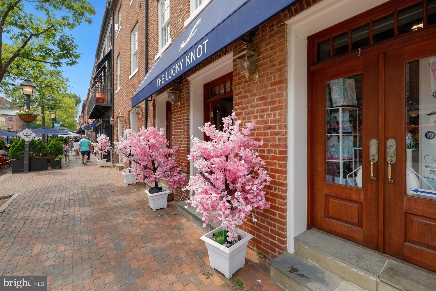 OLD TOWN ALEXANDRIA - Residential