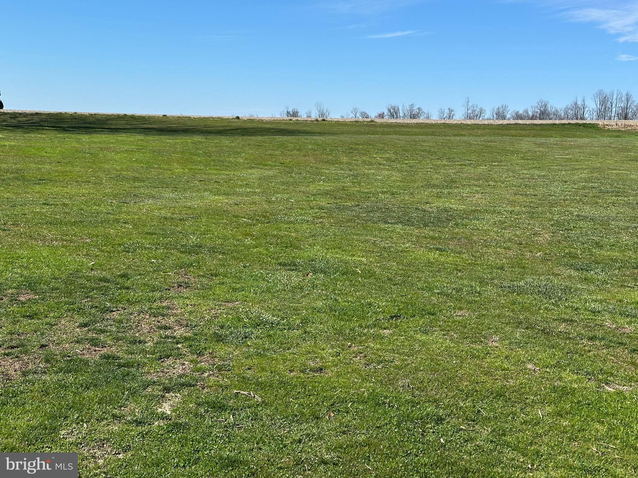 LITTLE BRITAIN - Residential