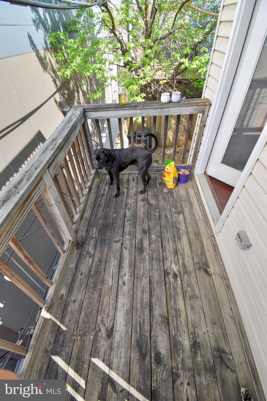 FEDERAL HILL HISTORIC DISTRICT - Residential Lease