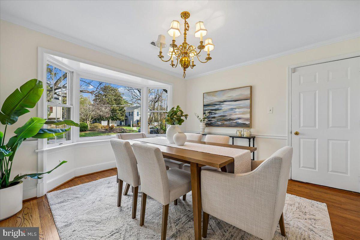 CHEVY CHASE VIEW - Residential